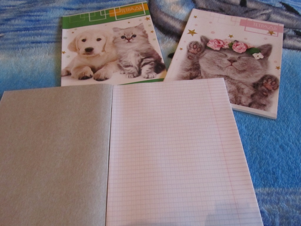 Фотография покупателя товара Тетрадь 48 листов в клетку Calligrata "Котята", обложка мелованный картон, блок офсет, МИКС - Фото 3