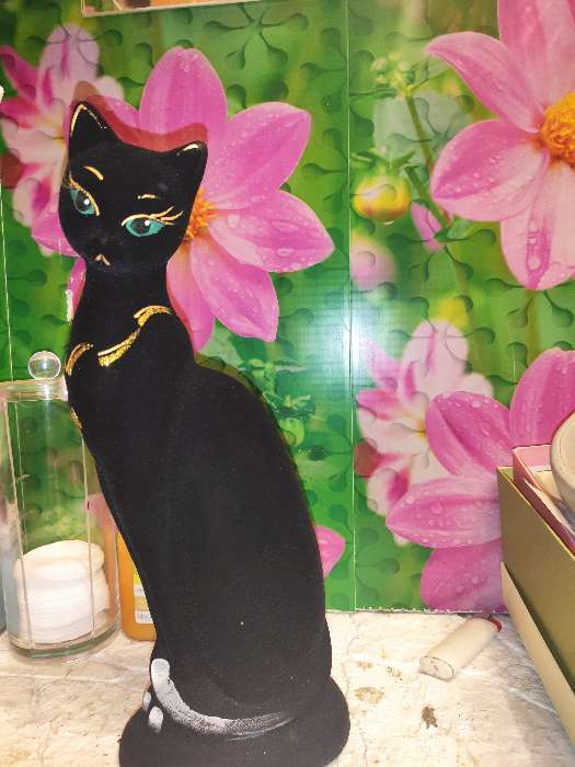 Фотография покупателя товара Копилка "Кошка Ася", покрытие флок, чёрная, 30 см - Фото 1