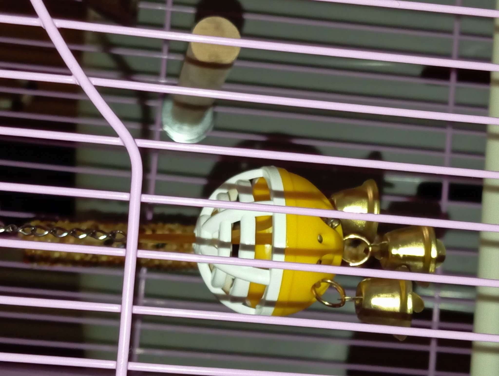 Фотография покупателя товара Игрушка для попугая "Забава" с 3 колокольчиками, микс