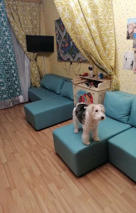 Фотография покупателя товара Диван угловой «Виктория», спальное место 1200×2000 мм, обивка рогожка, цвет coffee - Фото 4