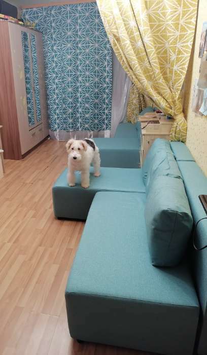 Фотография покупателя товара Диван угловой «Виктория», спальное место 1200×2000 мм, обивка рогожка, цвет coffee - Фото 5