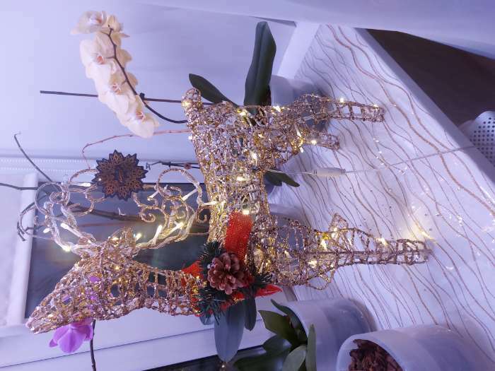 Фотография покупателя товара Светодиодная фигура «Олень золотистый» 40 × 60 × 18 см, металл, 220 В, свечение тёплое белое