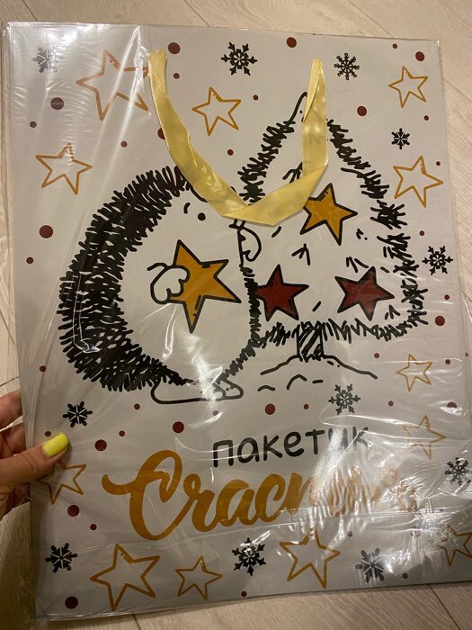 Фотография покупателя товара Пакет подарочный новогодний ламинированный «С Новым годом и Рождеством», 33×42×10 см - Фото 18