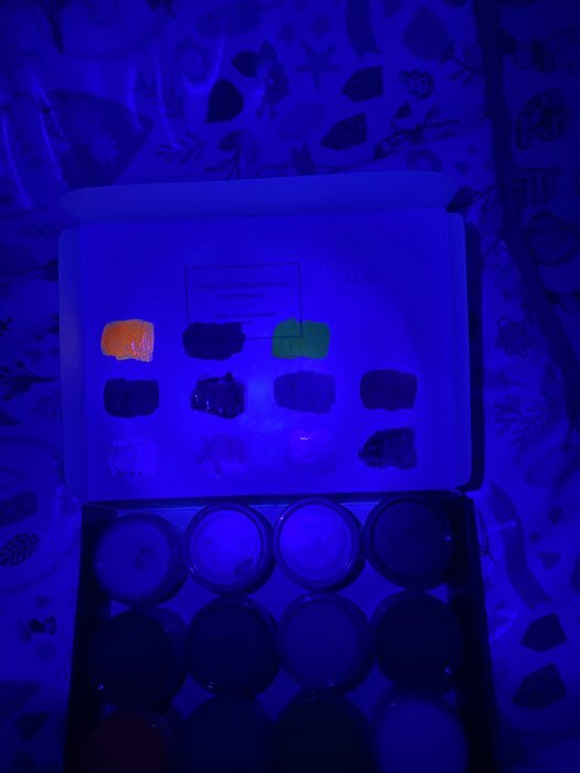 Фотография покупателя товара Краска акриловая, набор 12 цветов х 20 мл, Calligrata Mix : 6 стандарных ; металлик, перламутровый, флуоресцентный, с блестками, морозостойкий - Фото 4