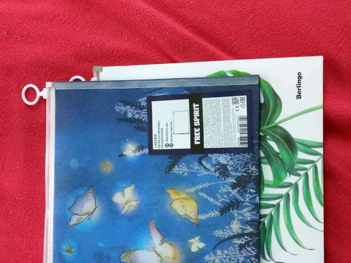 Фотография покупателя товара Папка-конверт на молнии ZIP А4 с расширением 320 х 245 х 25 мм, 180 мкм deVENTE Free Spirit - Фото 2