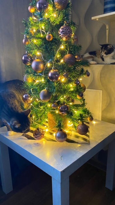 Фотография покупателя товара Ёлочные игрушки «Диско ассорти», шары новогодние, d=4 см, набор 24 шт., золото - Фото 1