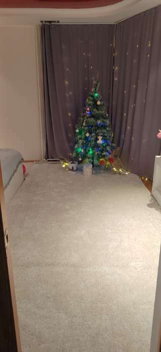 Фотография покупателя товара Ковёр Фризе «Шегги», 200х400 см