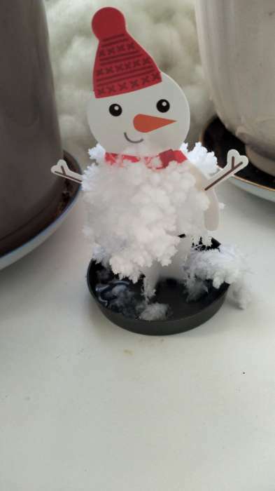 Фотография покупателя товара Набор для опытов «Чудесные кристаллы», снеговик - Фото 3
