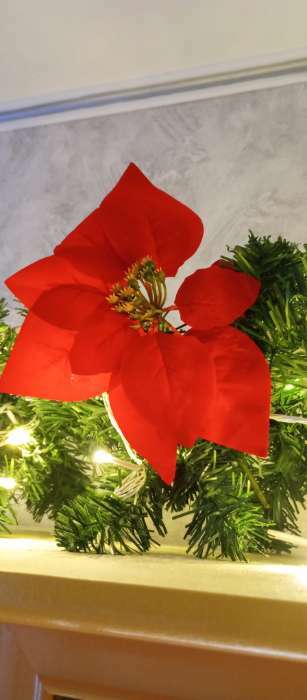 Фотография покупателя товара Новогодний декор «Пуансеттия», цвет красный - Фото 2