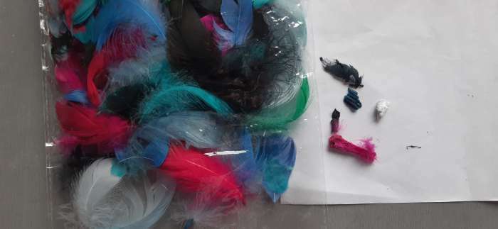 Фотография покупателя товара Наполнитель из перьев для шаров и подарков, ассорти, 6гр. МИКС - Фото 9