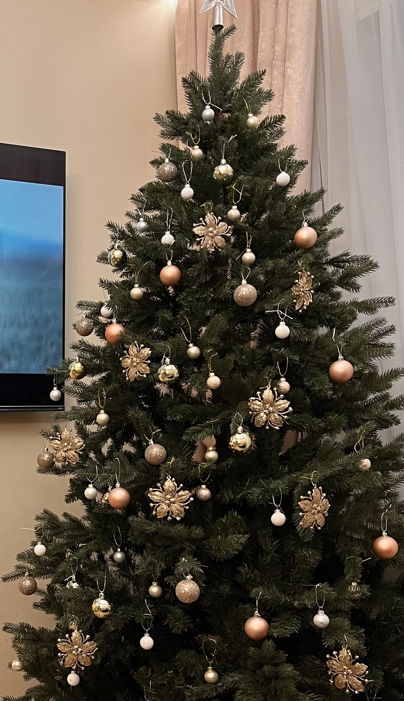 Фотография покупателя товара Ёлочные игрушки 3 шт. «Зимнее волшебство. Сияющая глазурь» пластик, 9.5×9.5 см, золото - Фото 8