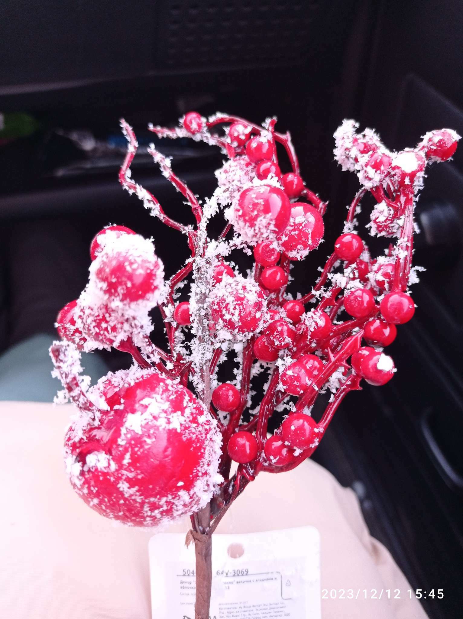 Фотография покупателя товара Декор "Зимнее очарование" веточка с ягодками и яблочком, 22 см - Фото 15