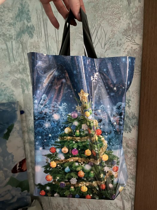 Фотография покупателя товара Пакет подарочный новогодний «Новогодний стиль», полиэтиленовый с петлевой ручкой 28×35, 50 мкм - Фото 21