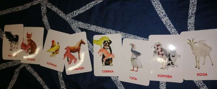 Фотография покупателя товара Развивающий набор фигурок для детей «Домашние животные» с карточками, по методике Домана - Фото 1