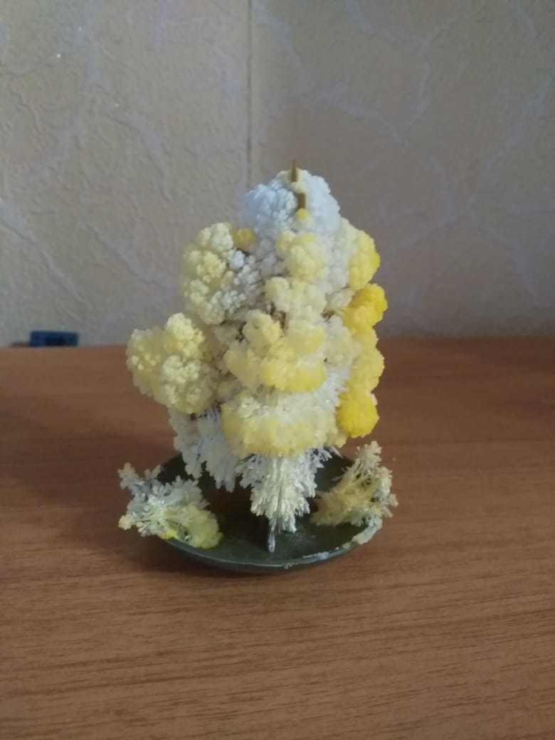 Фотография покупателя товара Набор для выращивания кристалла «Волшебное дерево» цвет жёлтый