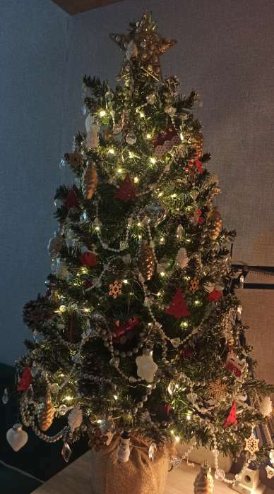 Фотография покупателя товара Елочные игрушки «Красные ели», 4.5×3.5 см - Фото 2