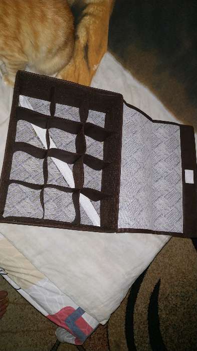 Фотография покупателя товара Органайзер для хранения белья с крышкой 32×24×12 см, 12 отделений, цвет серый - Фото 1