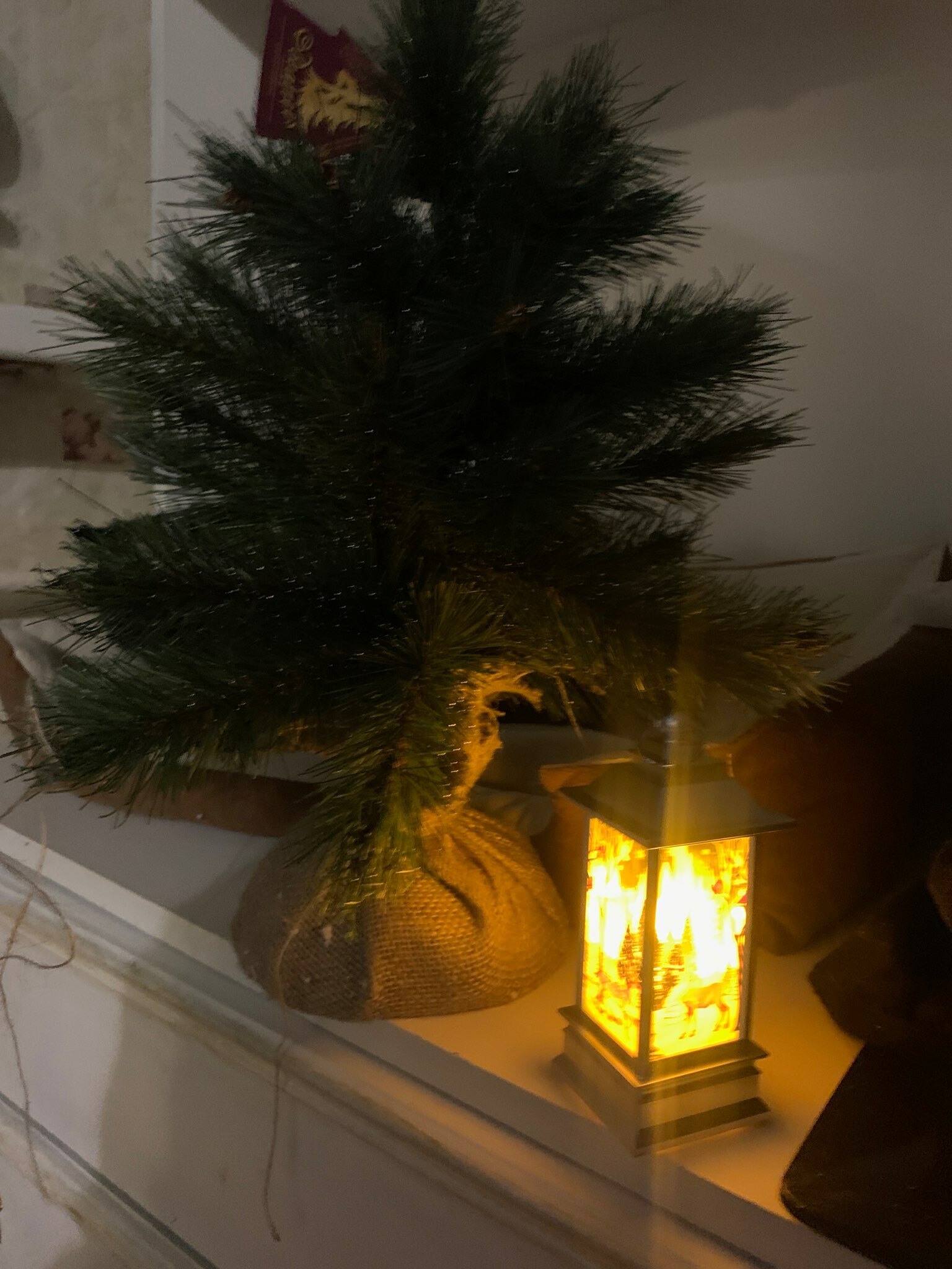 Фотография покупателя товара Светодиодная фигура «Фонарь с оленем» 5.5 × 13 × 5.5 см, пластик, батарейки AG13х3, свечение тёплое белое