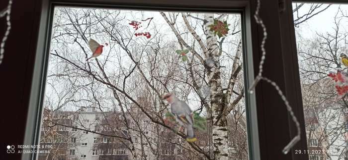 Фотография покупателя товара Наклейка интерьерная «Зимние птички», 21х29.7 см, Новый год
