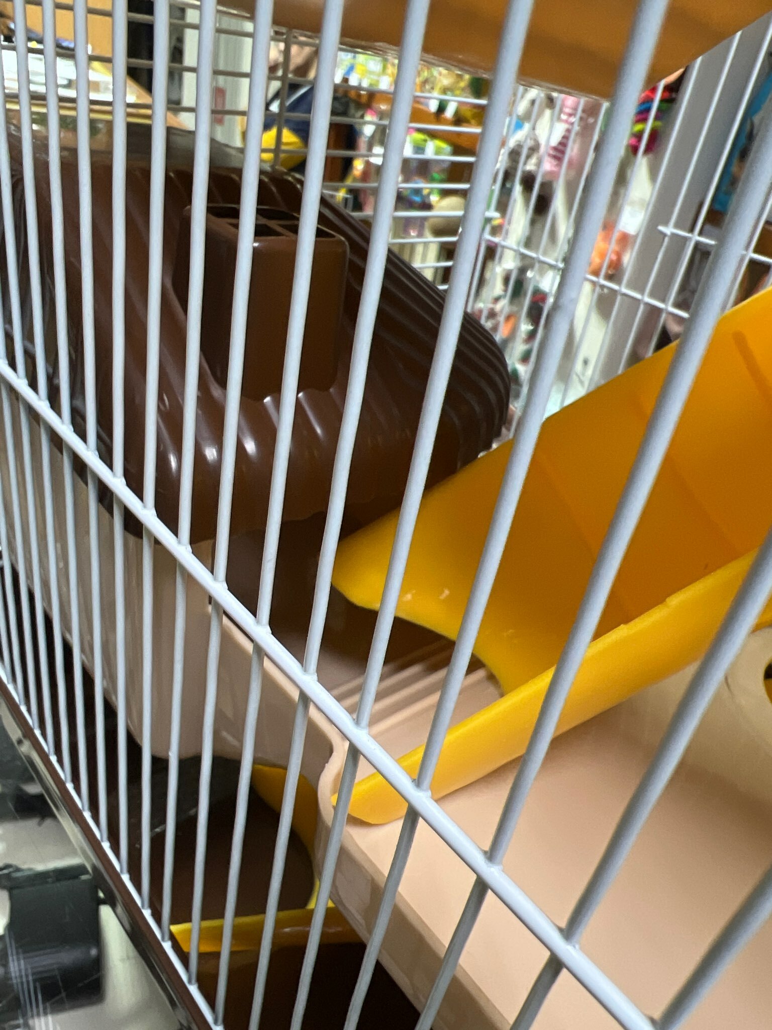 Фотография покупателя товара Клетка для грызунов "Пижон", трёхэтажная с наполнением 31 х 24 х 40 см, коричневая - Фото 1