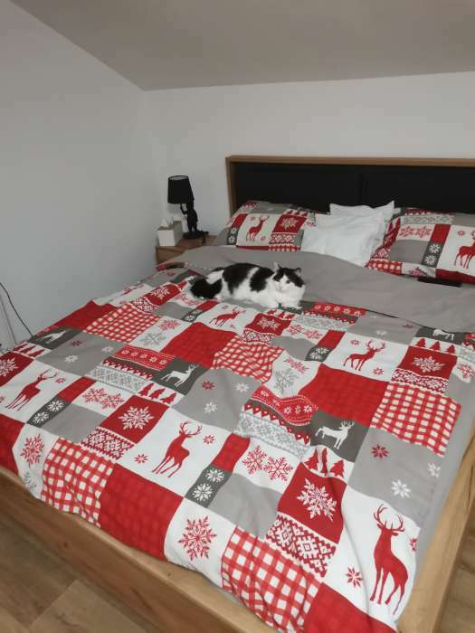 Фотография покупателя товара Постельное бельё евро «Этель» New Year's patchwork, бязь - Фото 1