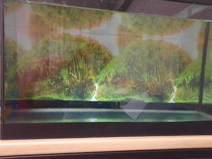 Фотография покупателя товара Фон для аквариума, 40 см, рулон 25 м - Фото 1