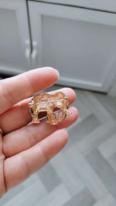 Фотография покупателя товара Брошь «Слон индийский», цвет красно-серый в золоте