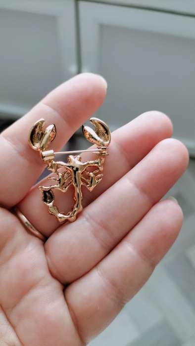 Фотография покупателя товара Брошь «Скорпион», белая в золоте - Фото 6