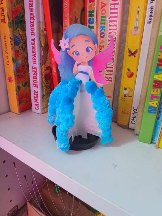 Фотография покупателя товара Выращивание кристалла «Чудесные. Девочка», набор для опытов - Фото 8