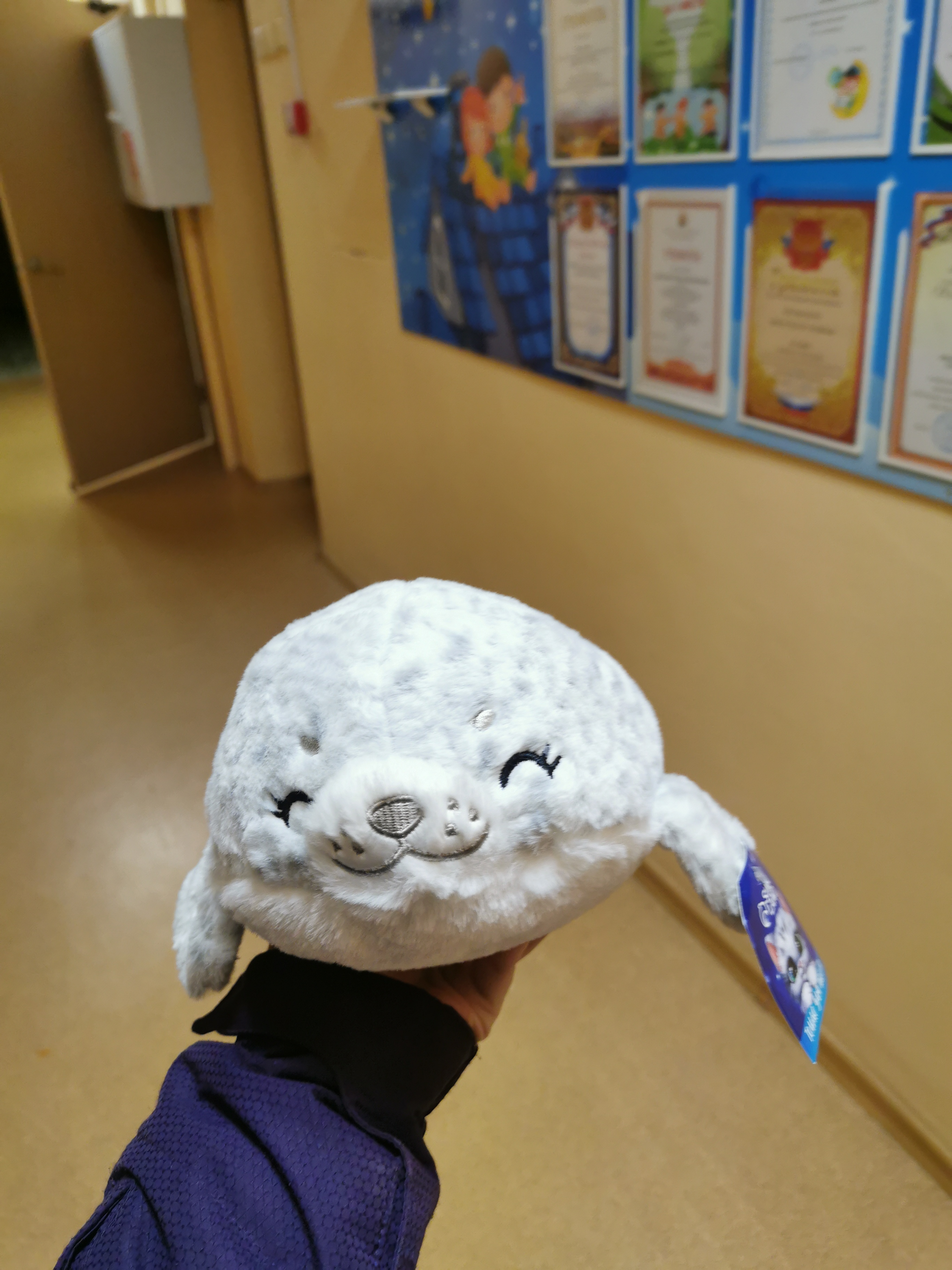 Фотография покупателя товара Мягкая игрушка «Тюлень», 32 см, цвет серый - Фото 1