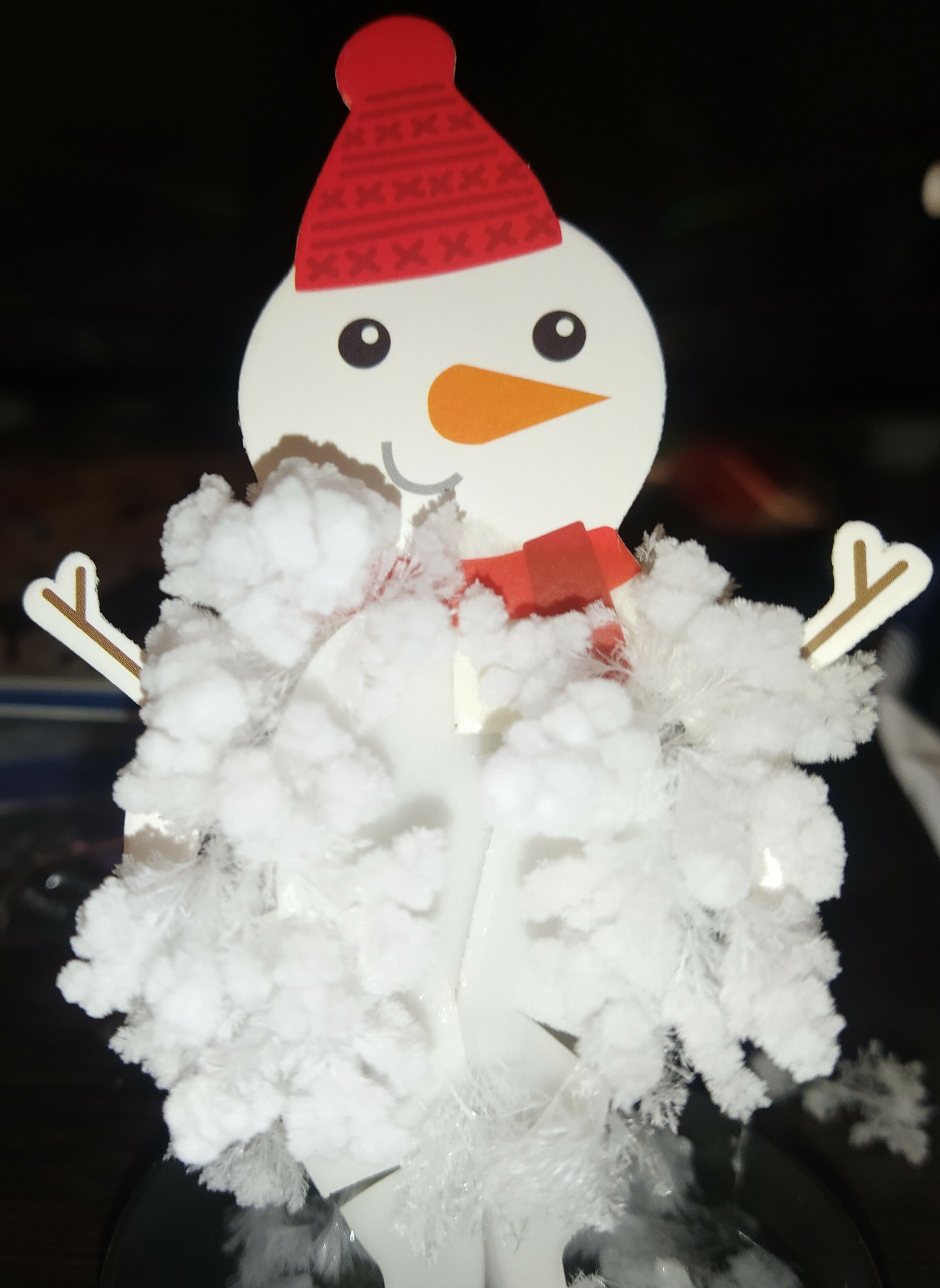 Фотография покупателя товара Набор для опытов «Чудесные кристаллы», снеговик