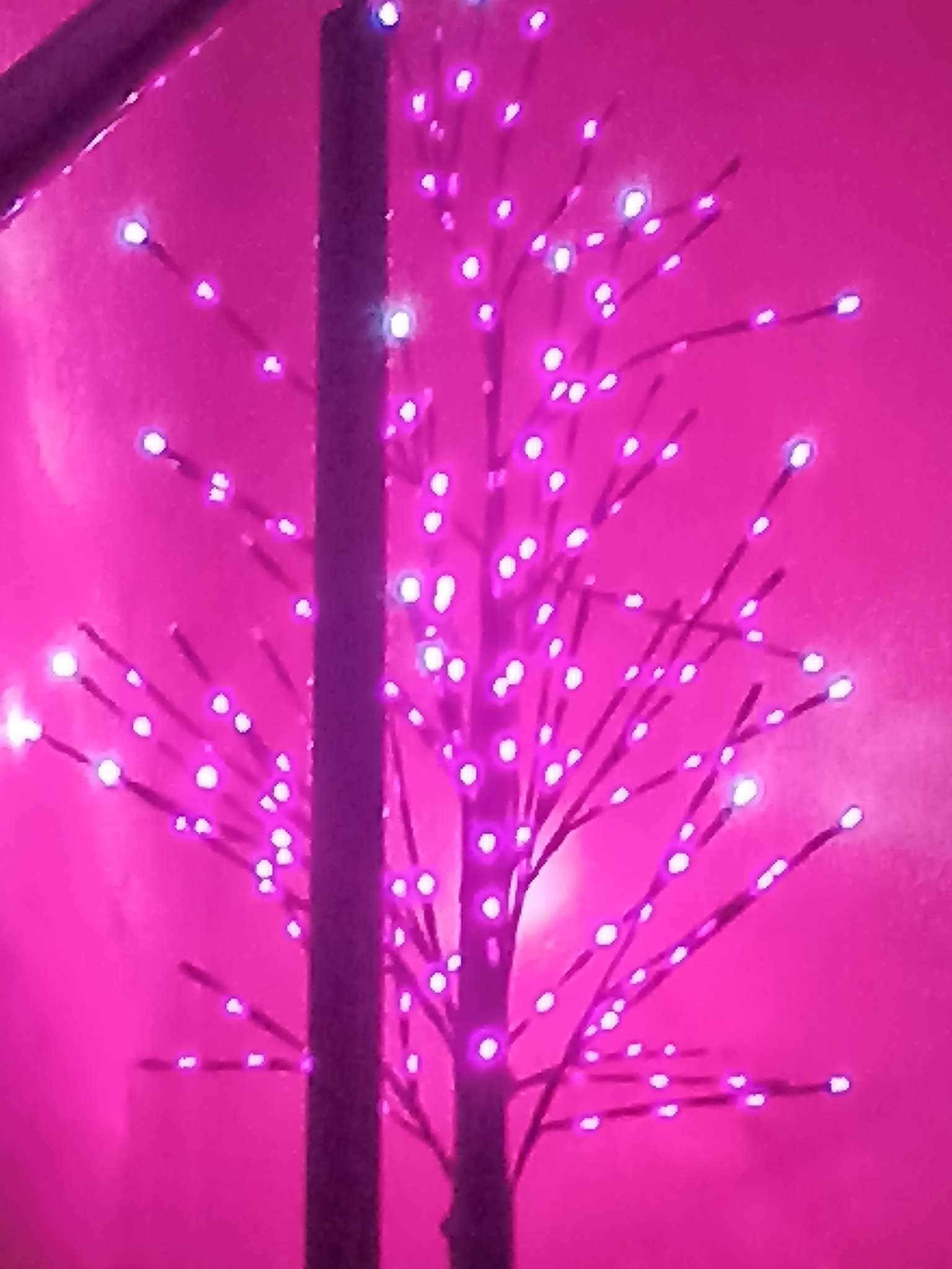 Фотография покупателя товара Светодиодное дерево 1.5 м, 224 LED, мерцание, 220 В, свечение белое - Фото 10