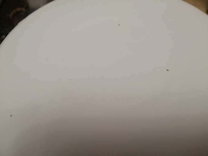 Фотография покупателя товара Кастрюля цилиндрическая, 7 л, без деколи, индукция, цвет белый - Фото 2