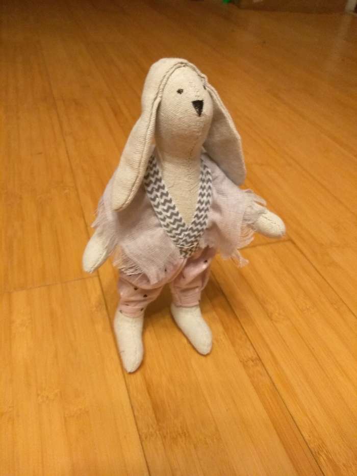 Фотография покупателя товара Мягкая игрушка «Домашняя зайка Моника», набор для шитья, 18 × 22.5 × 2см