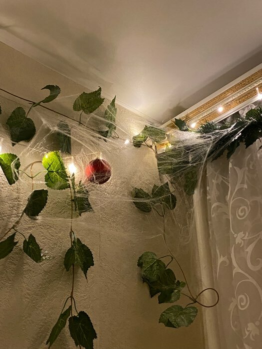 Фотография покупателя товара Карнавальный набор «Жуки-пауки», паутина, декор