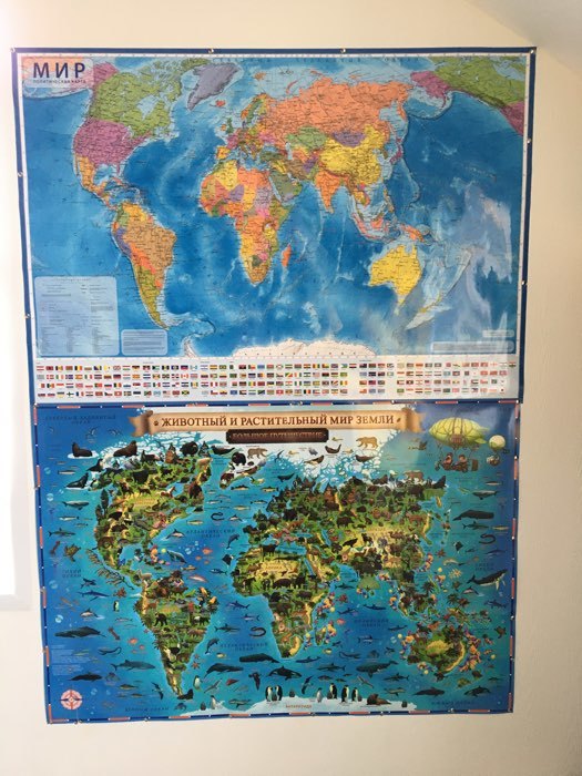 Фотография покупателя товара Карта Мира настенная географическая «Наша планета. Животный и растительный мир», ламинированная, 101 х 69 см - Фото 2