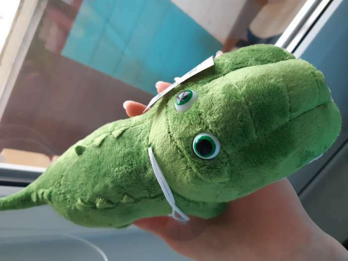 Фотография покупателя товара Мягкая игрушка «Крокодил», 27 см - Фото 2