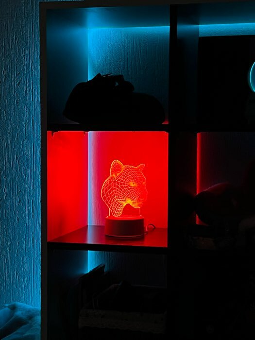Фотография покупателя товара Светильник "Пантера" LED RGB от сети RISALUX - Фото 1