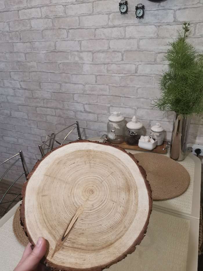 Фотография покупателя товара Спил лиственницы, шлифованный с одной стороны, диаметр 27-30 см, толщина 2-3 см - Фото 2