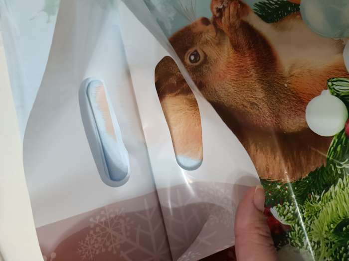 Фотография покупателя товара Пакет "Белочка на новогодней ветке", полиэтиленовый с вырубной ручкой, 30х40 см, 50 мкм - Фото 1