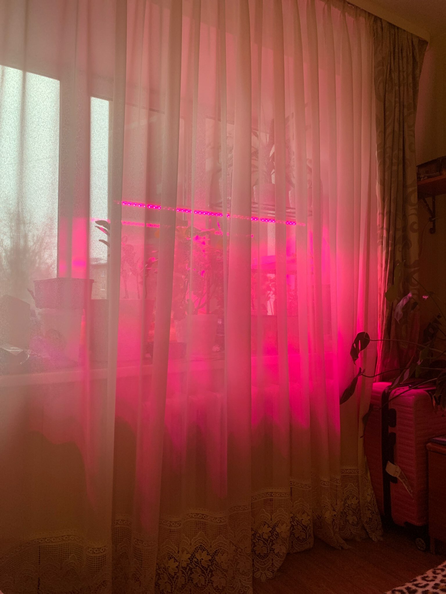 Фотография покупателя товара Фитосветильник светодиодный IN HOME, 20 Вт, 230 B, 1170 мм, СПБ-Т5-ФИТО
