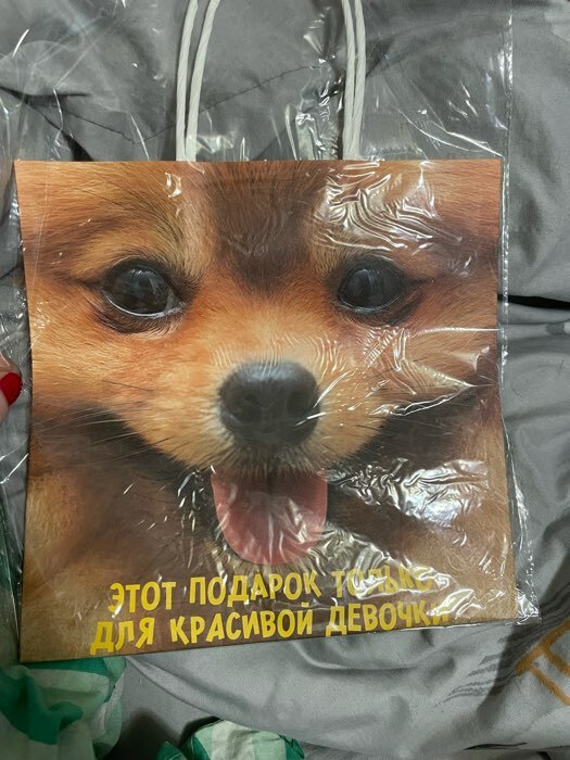 Фотография покупателя товара Пакет подарочный, упаковка, «Повод прибухнуть», 22×22×11 см - Фото 7