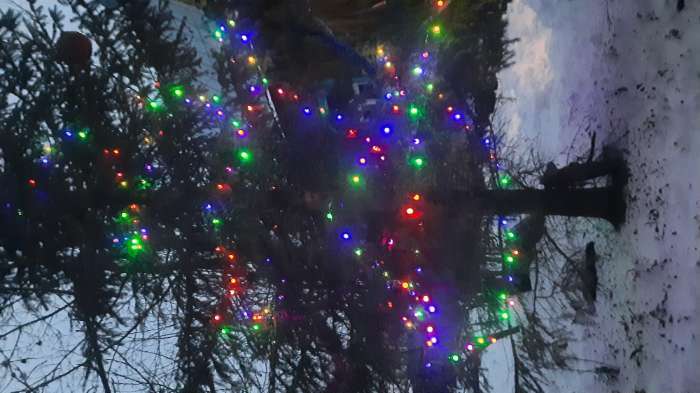 Фотография покупателя товара Гирлянда «Нить» 20 м с насадками «Шарики 1.5 см», IP44, тёмная нить, 200 LED, свечение бело-синее, мигание, 220 В, УЦЕНКА - Фото 3