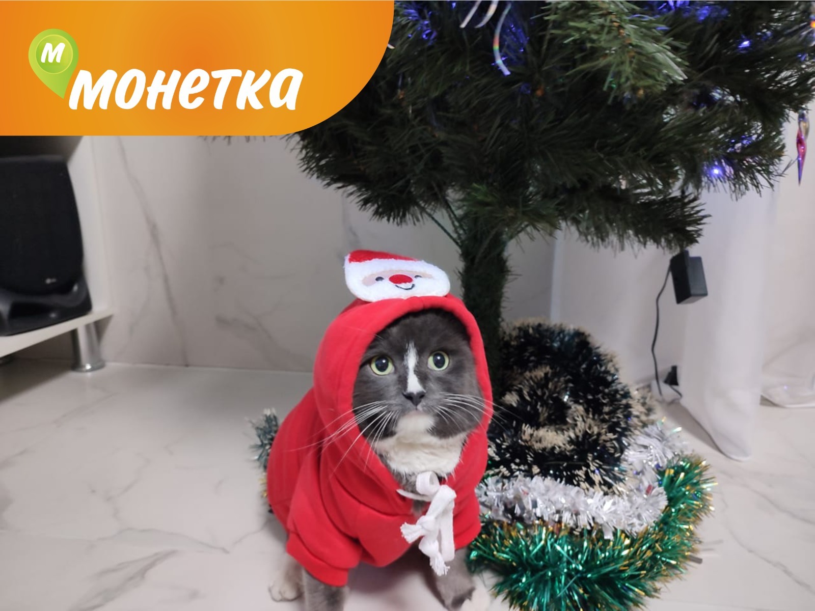 Фотография покупателя товара Костюм для животных новогодний «Ёлка», размер XL, зелёный - Фото 1