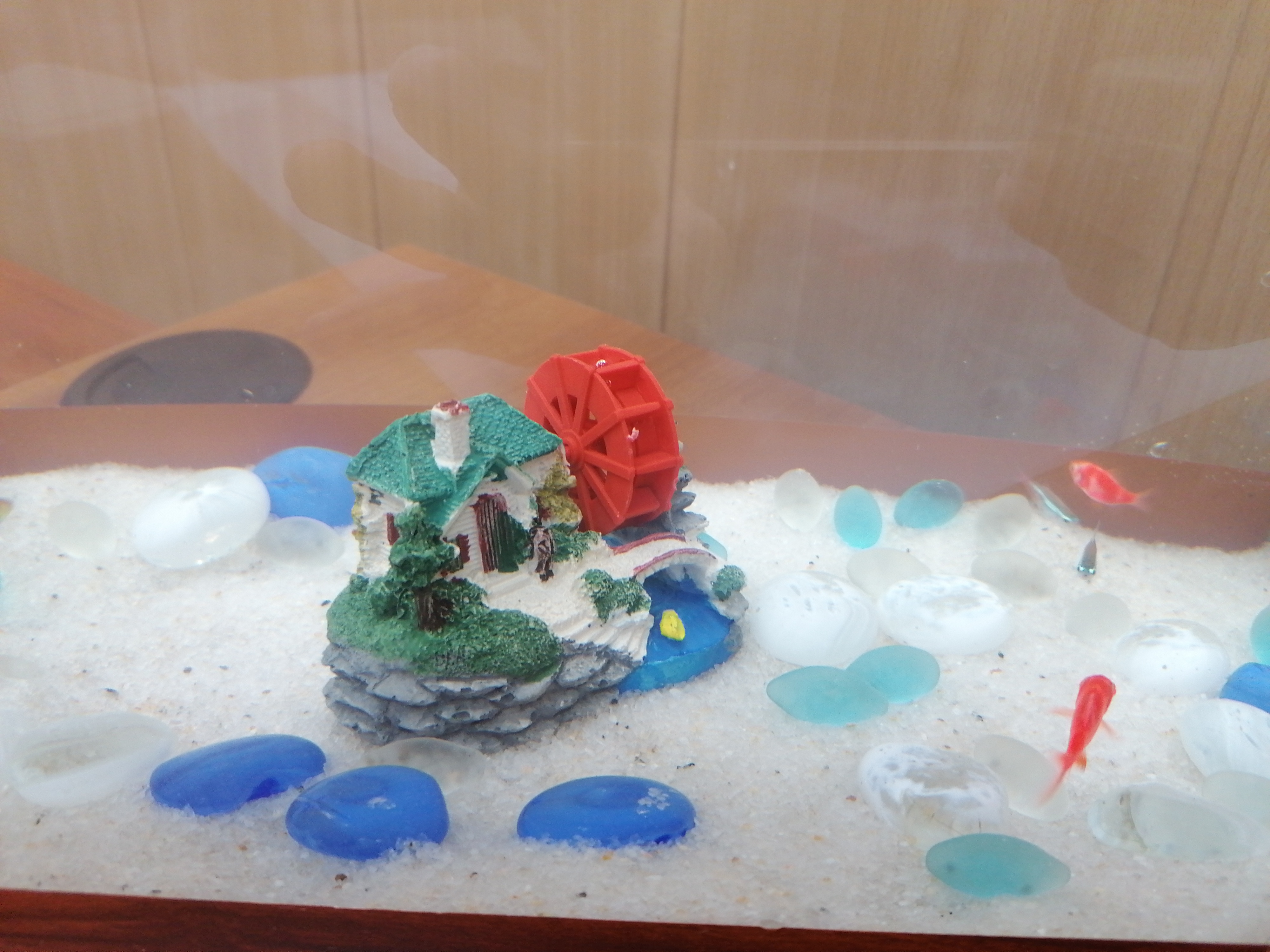 Фотография покупателя товара Грунт для аквариума "Белый песок", кварц, ф=0,5-2 мм, 1 кг - Фото 6
