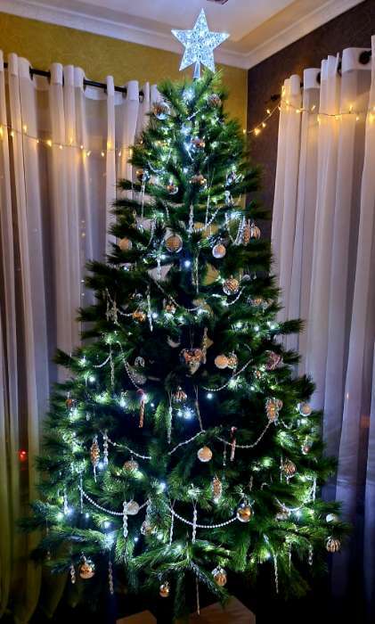 Фотография покупателя товара Ёлочные игрушки «Карнавал», шары новогодние, d=5.5 см, набор 5 шт., ассорти, серебро - Фото 2