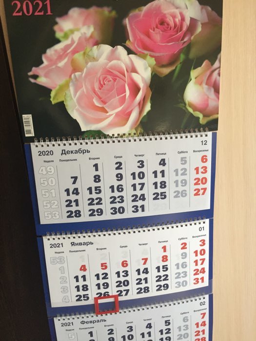 Фотография покупателя товара Календари квартальные трио "Цветы, 2021 - 1" 31 х 69 см