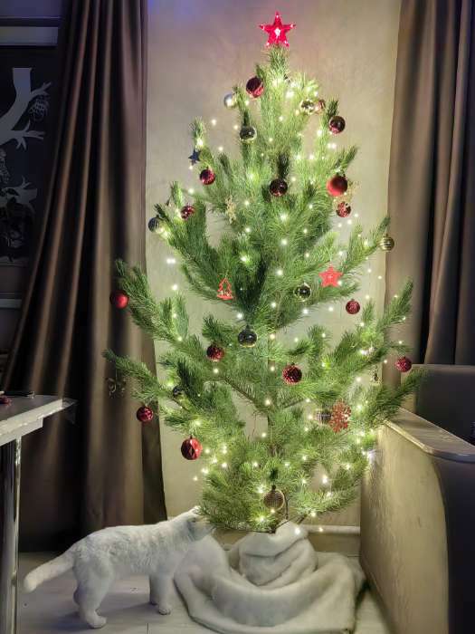 Фотография покупателя товара Светодиодная верхушка на ёлку «Звезда красная», 15 см, 10 LED, 220 В, свечение красное - Фото 12