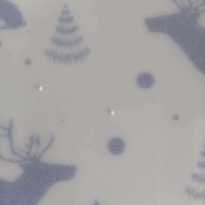 Фотография покупателя товара Тарелка фарфоровая «Зимний лес», d=20 см, цвет белый