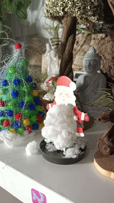 Фотография покупателя товара Набор для выращивания кристалла «Опыты. Чудесные кристаллы», Дед Мороз - Фото 1